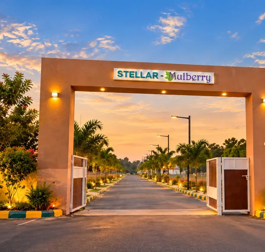 Close-up of the illuminated Stellar Mulberry entrance gate signage at dusk, with the open gates and palm-lined avenue road visible beyond